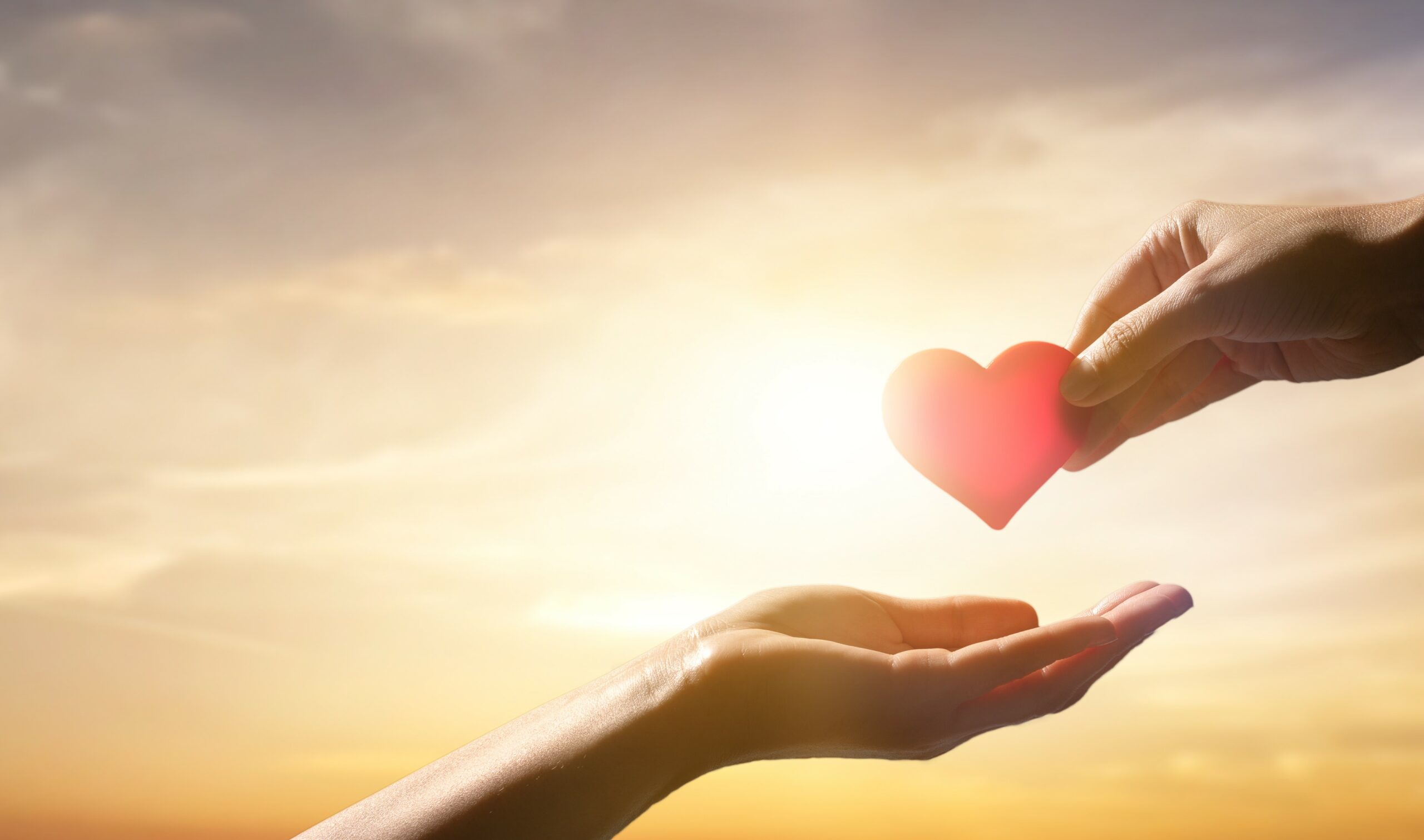 Love, health, blood donation, gift, charity concept.